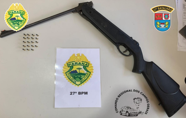 Homem é preso por assédio e posse de armas em União da Vitória