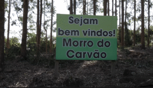 Morro do Carvão: aventura e natureza perto de casa