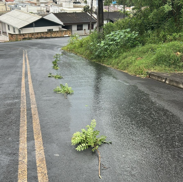 Derramamento de óleo bloqueia trânsito em Porto União