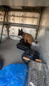 Polícia apreende drogas em ônibus em General Carneiro