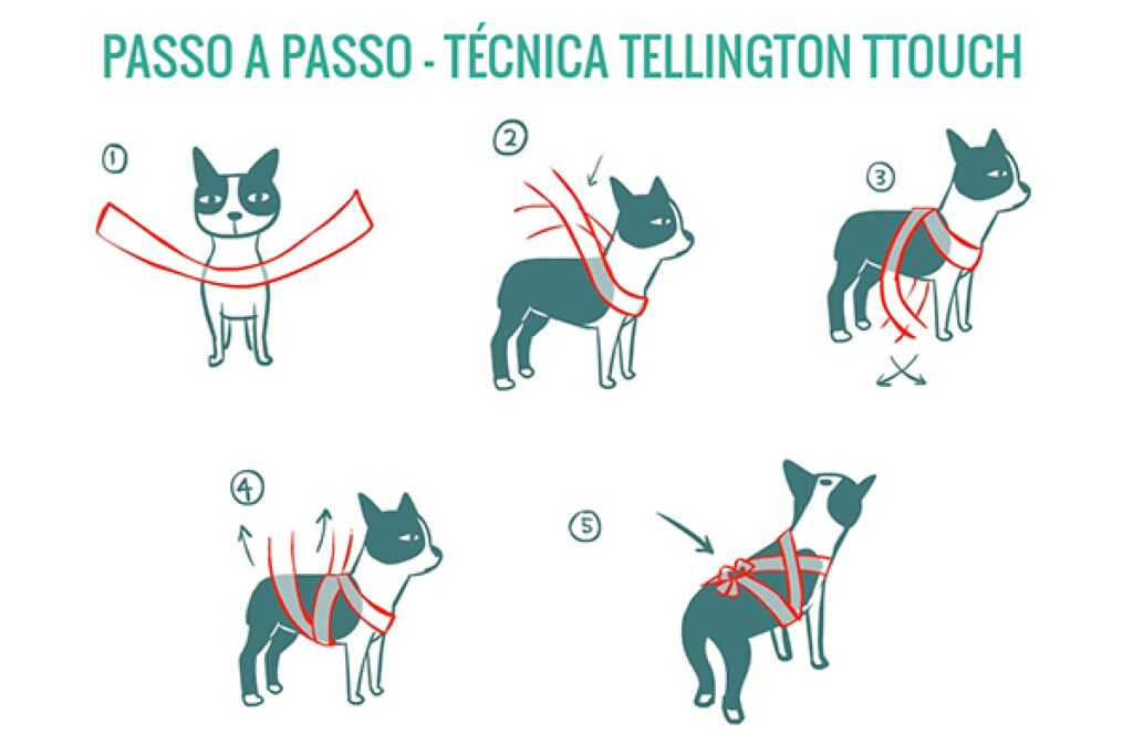 Como proteger cães e gatos dos fogos de artifício