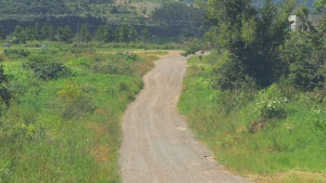 Moradores cobram iluminação em rua de União da Vitória