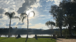 Calor intenso ameaça agricultura da região