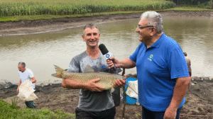 Carpas da colônia São Gabriel reforçam feira do peixe