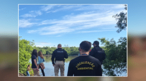 IAT lança canal para denúncias ambientais