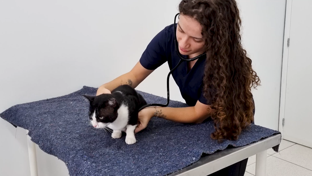 UGV amplia atendimentos veterinários para pets e animais de grande porte