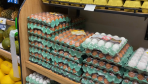 Cor da casca não muda valor nutricional do ovo