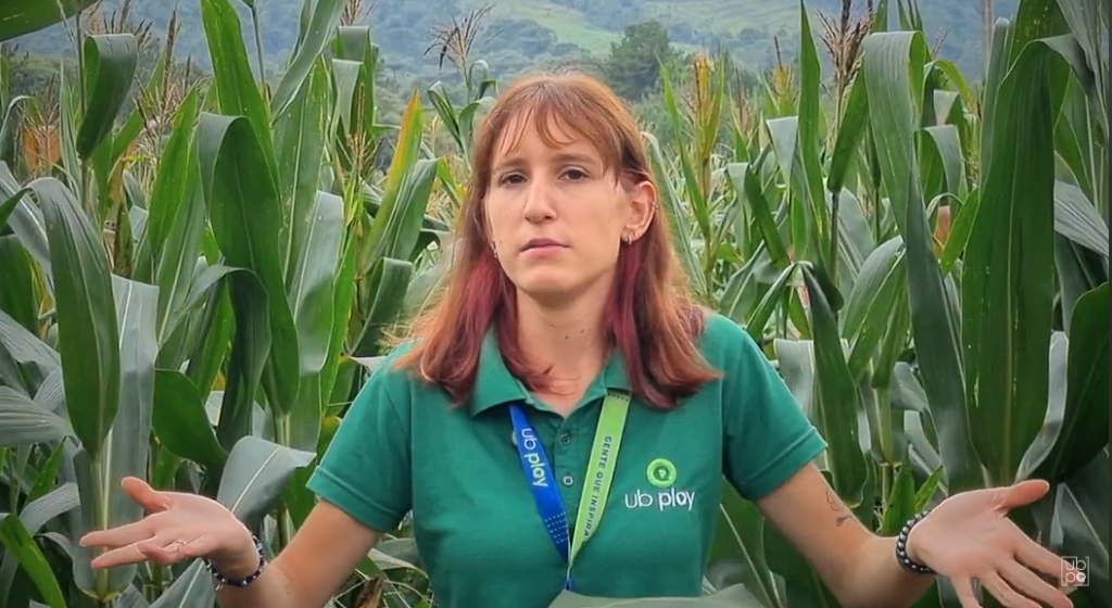 UGV reúne mais de 500 pessoas em Noite de Campo