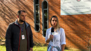Atualização de rebanhos no Paraná vai até 30 de junho