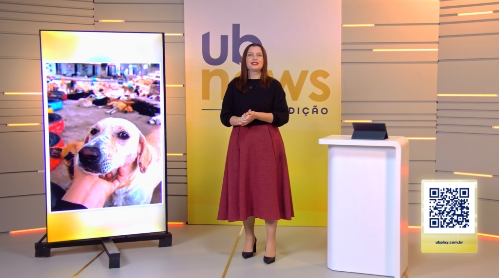 Campanha arrecada ração para animais de rua em Porto União