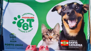 Porto União oferece castração gratuita de cães e gatos