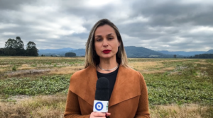 Clima impulsiona lavouras no Sul em maio