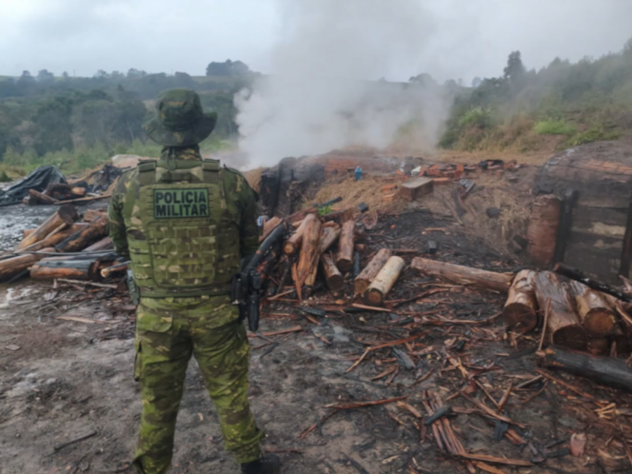 Operação flagra crimes ambientais no Paraná