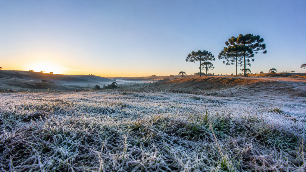 Frio retorna e fim de semana pode ter geada na região