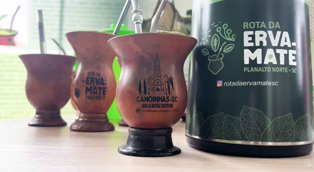 Seminário em Canoinhas reforça potencial da erva-mate no Planalto Norte