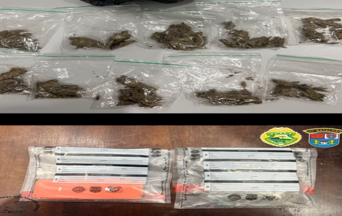 PM prende homem por tráfico de drogas em General Carneiro